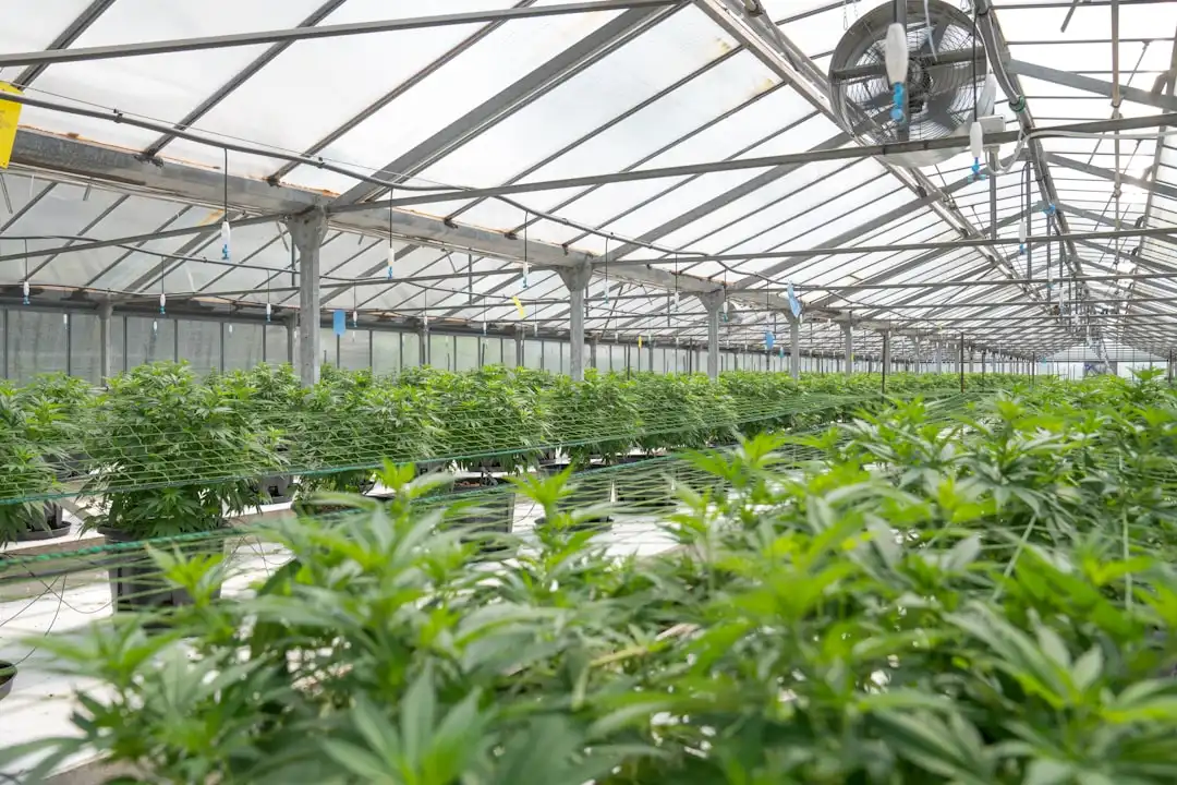 建筑工程总承包项目中质量管控流程优化方案分析