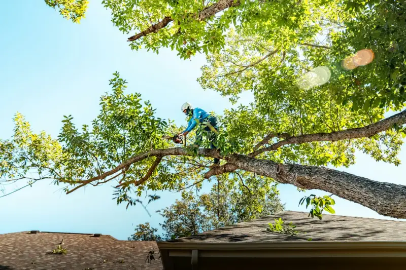建筑工程总承包模式下，河南市政工程如何实现质量与效率双提升正文配图 2